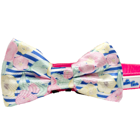 Fido's Fashion Finesse: A Bow Tie Bonanza!