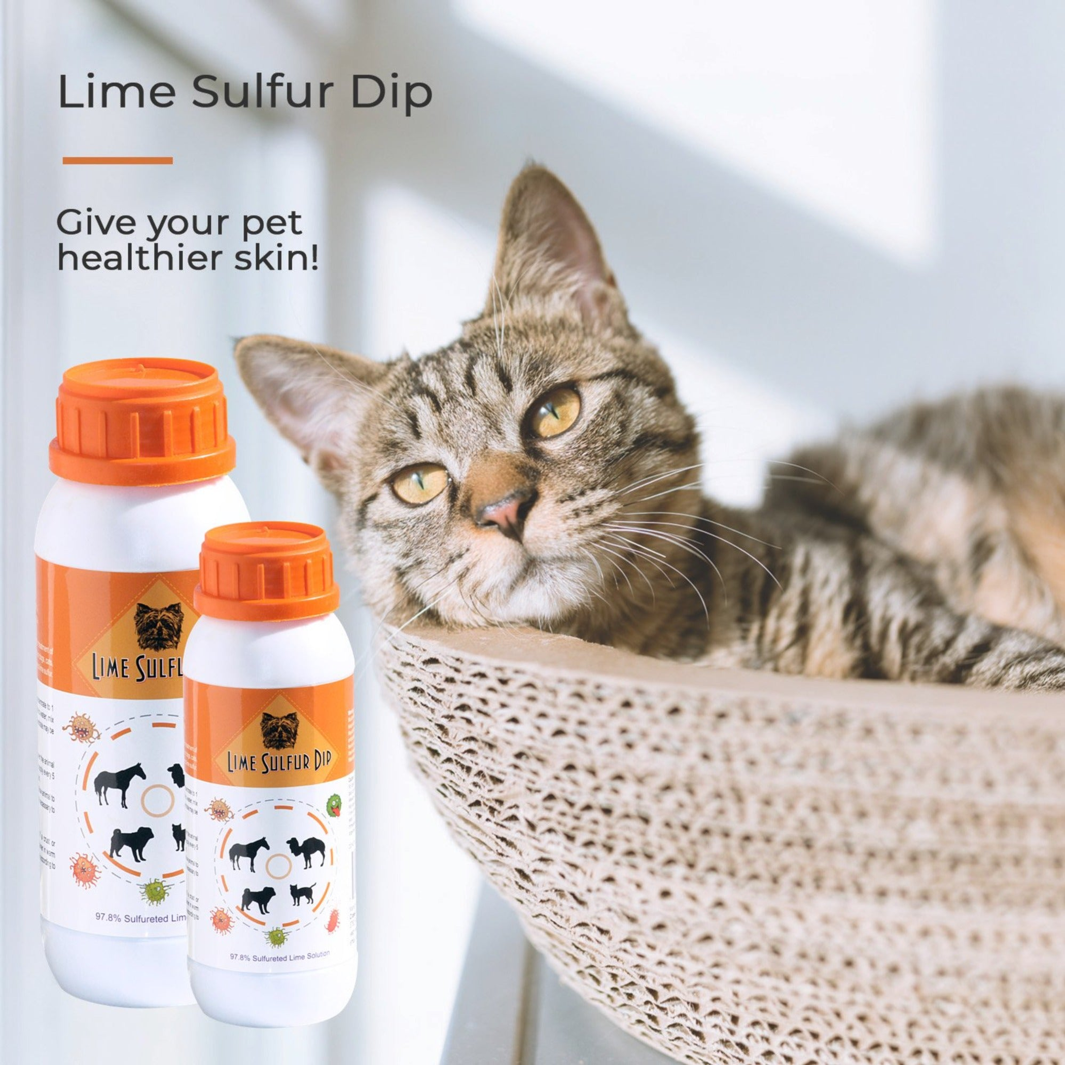 Lime Sulfur Dip-Veterinary Solution for Dermatitis, Mange, Ringworm and other Parasites