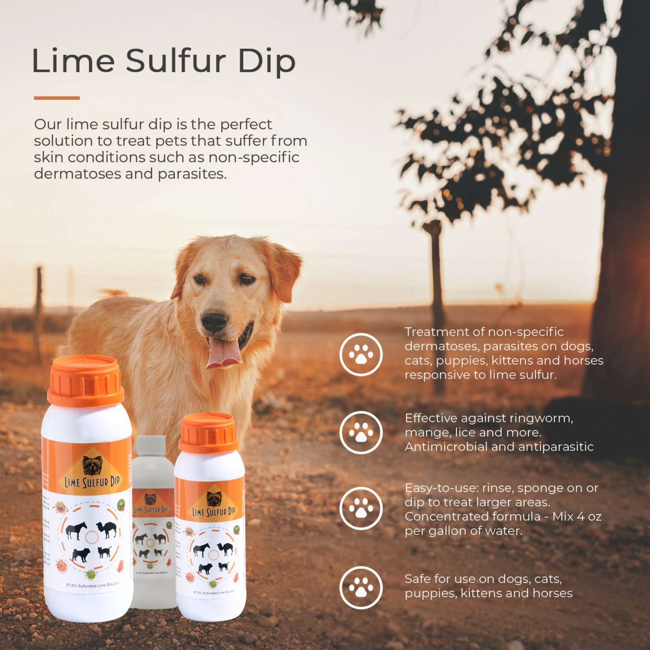 Lime Sulfur Dip-Veterinary Solution for Dermatitis, Mange, Ringworm and other Parasites