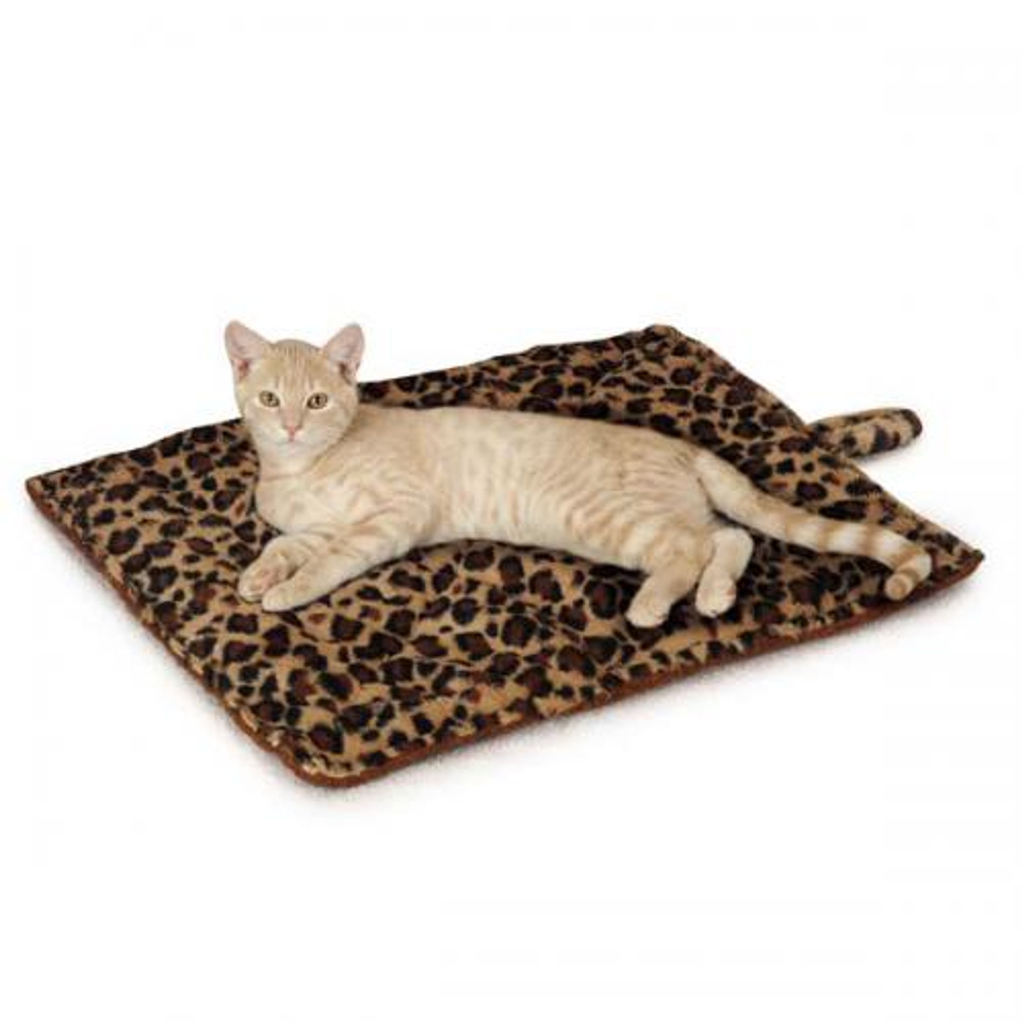 Leopard Cat Mat