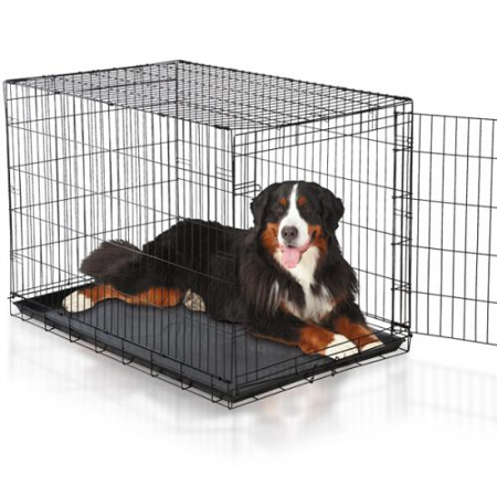 Woof-tastic Deals: The Ultimate Budget-Friendly Dog Crate!