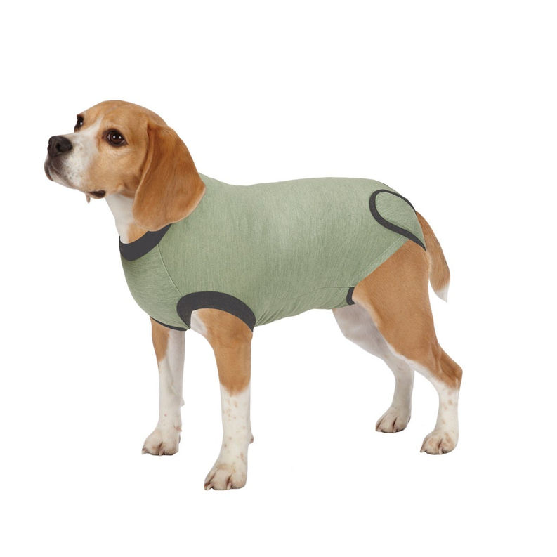 Recovery Suit for Pets Recovering from Surgery