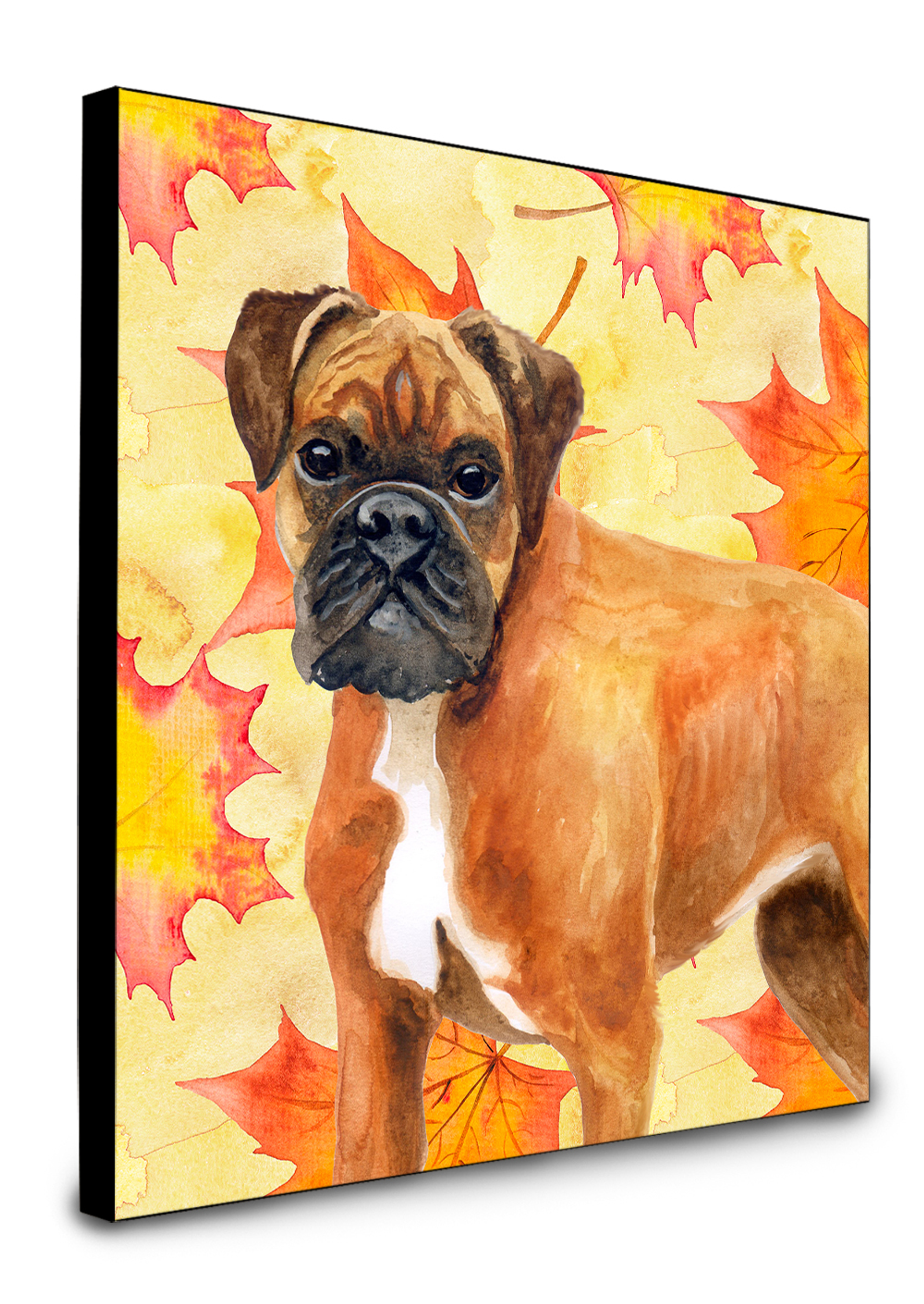 Boxer Accent Decor - Color: Boxer | Pack Of: 1