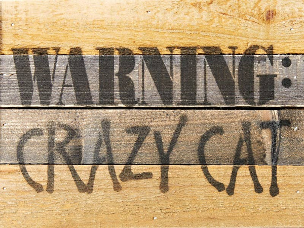 Warning: Crazy Cat... Wall Sign