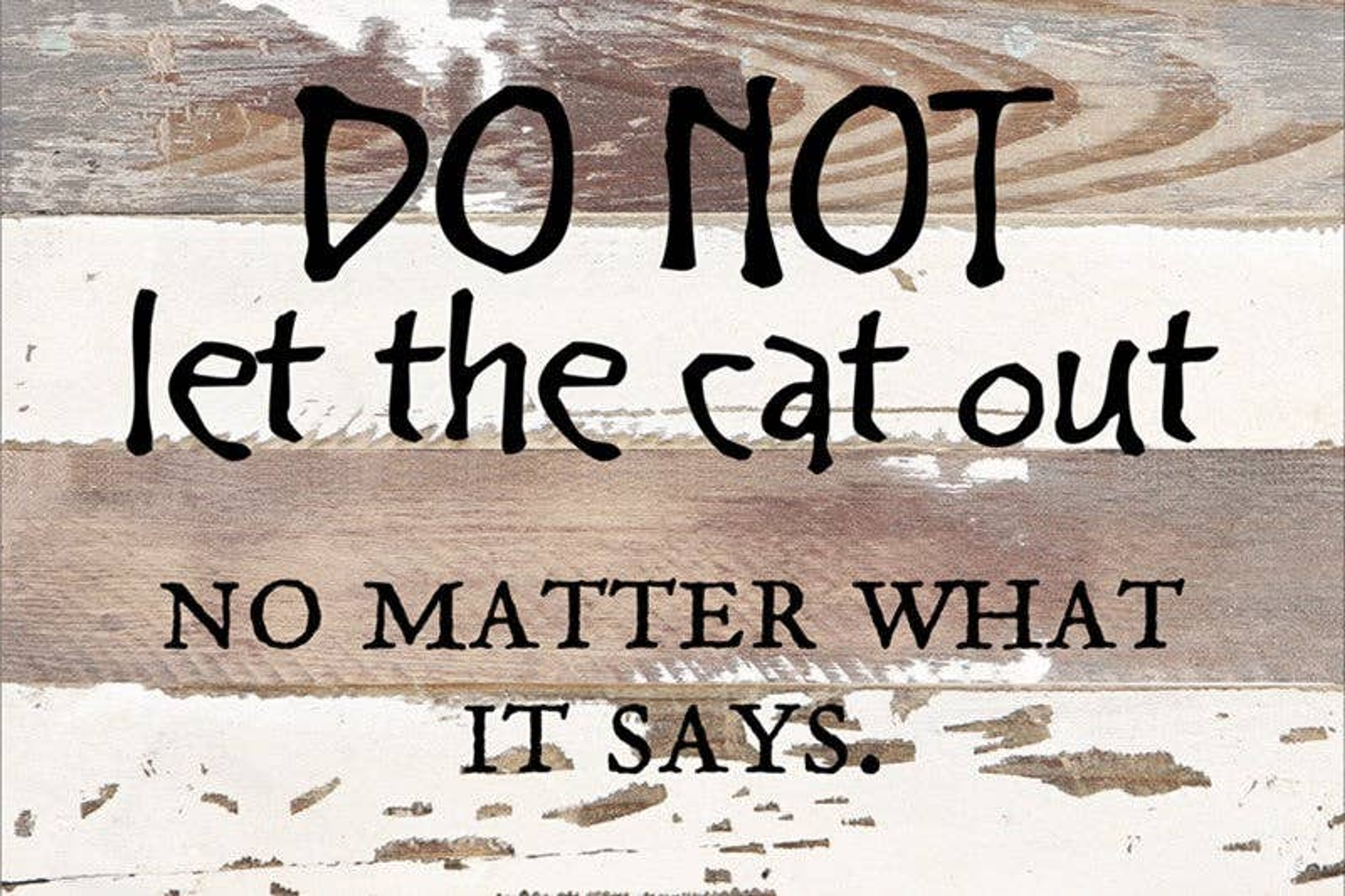 Do not let the cat out, no matter what...  Wall Sign