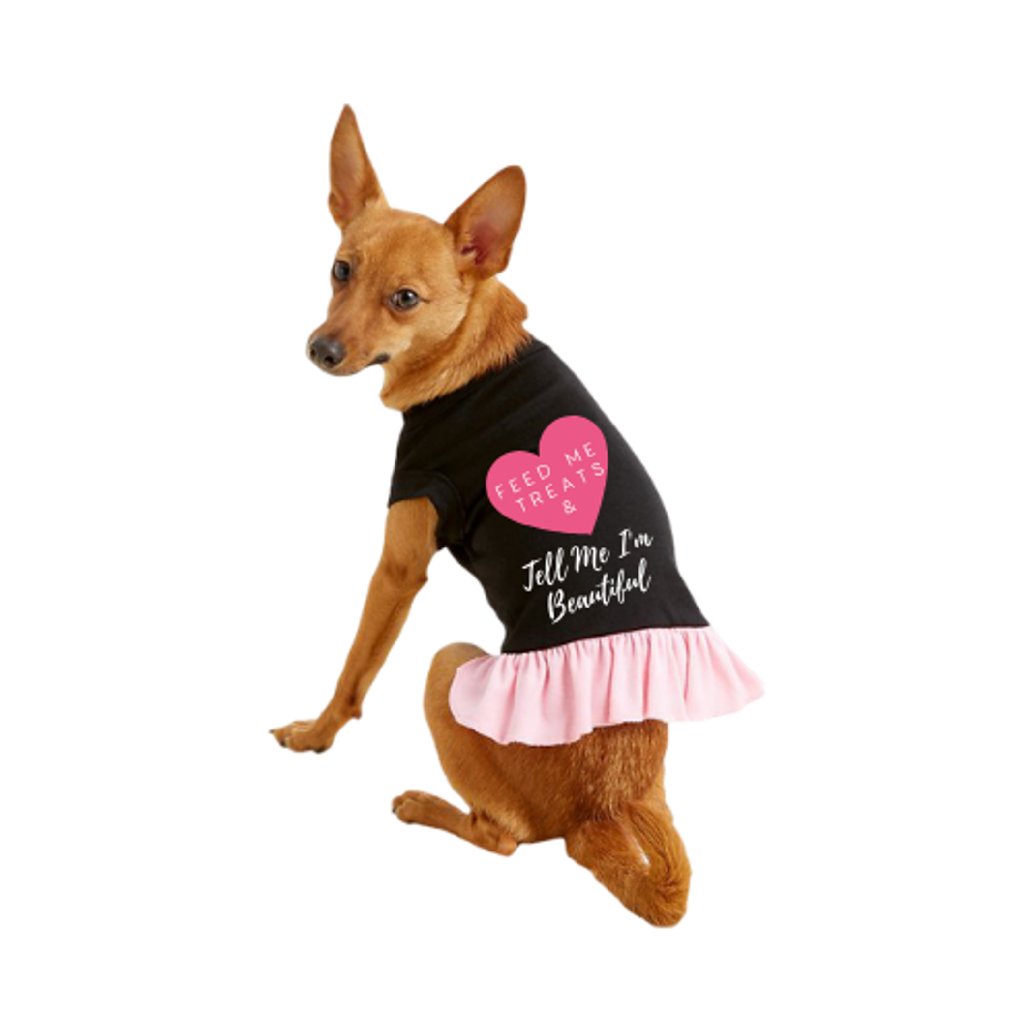 The Pawsitively Adorable ‘Feed Me Treats’ Dress!