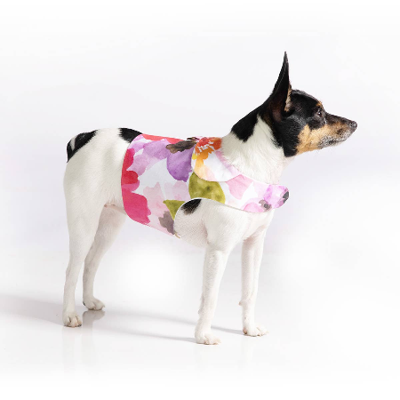 DCNY "Fine Art Frolic" Pink Vest-Style Harness