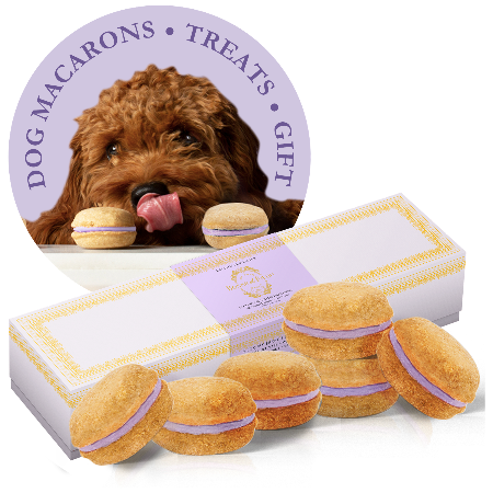 Paw-sitively Delicious: A Box of Canine Macarons!