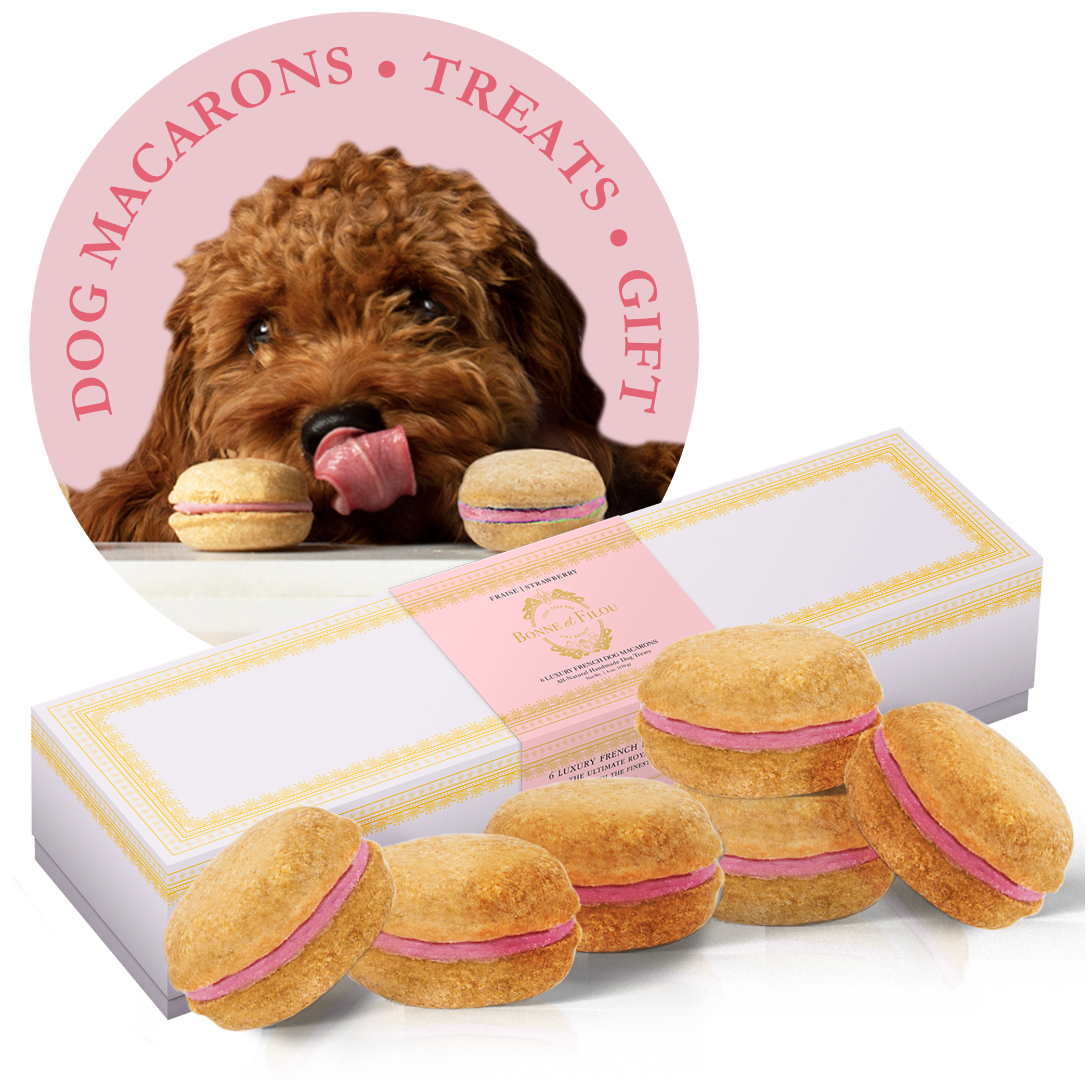 Paw-sitively Delicious: A Box of Canine Macarons!