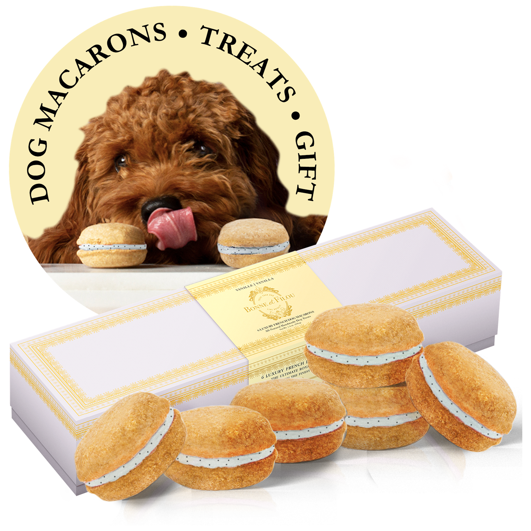 Paw-sitively Delicious: A Box of Canine Macarons!