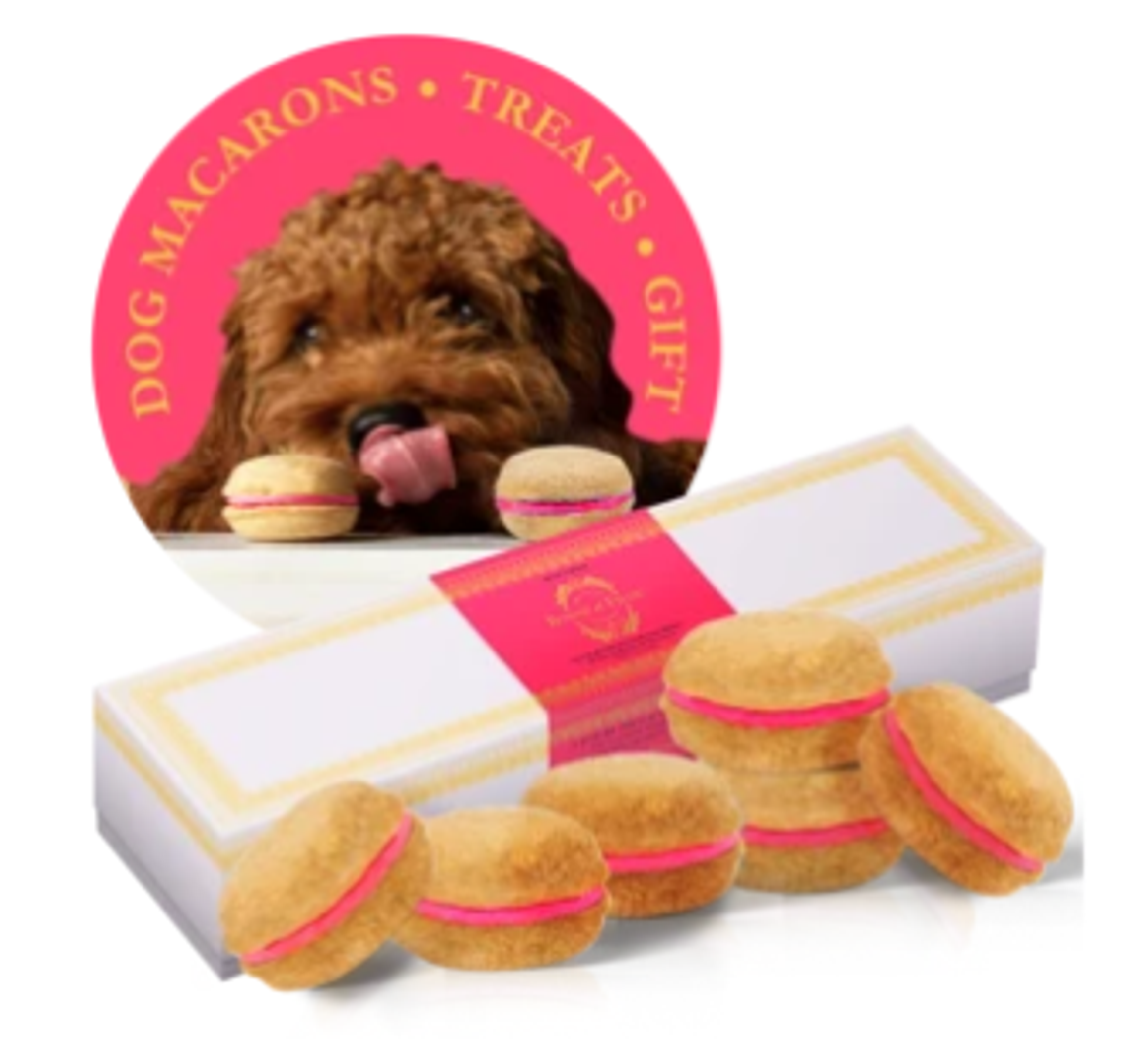 Paw-sitively Delicious: A Box of Canine Macarons!