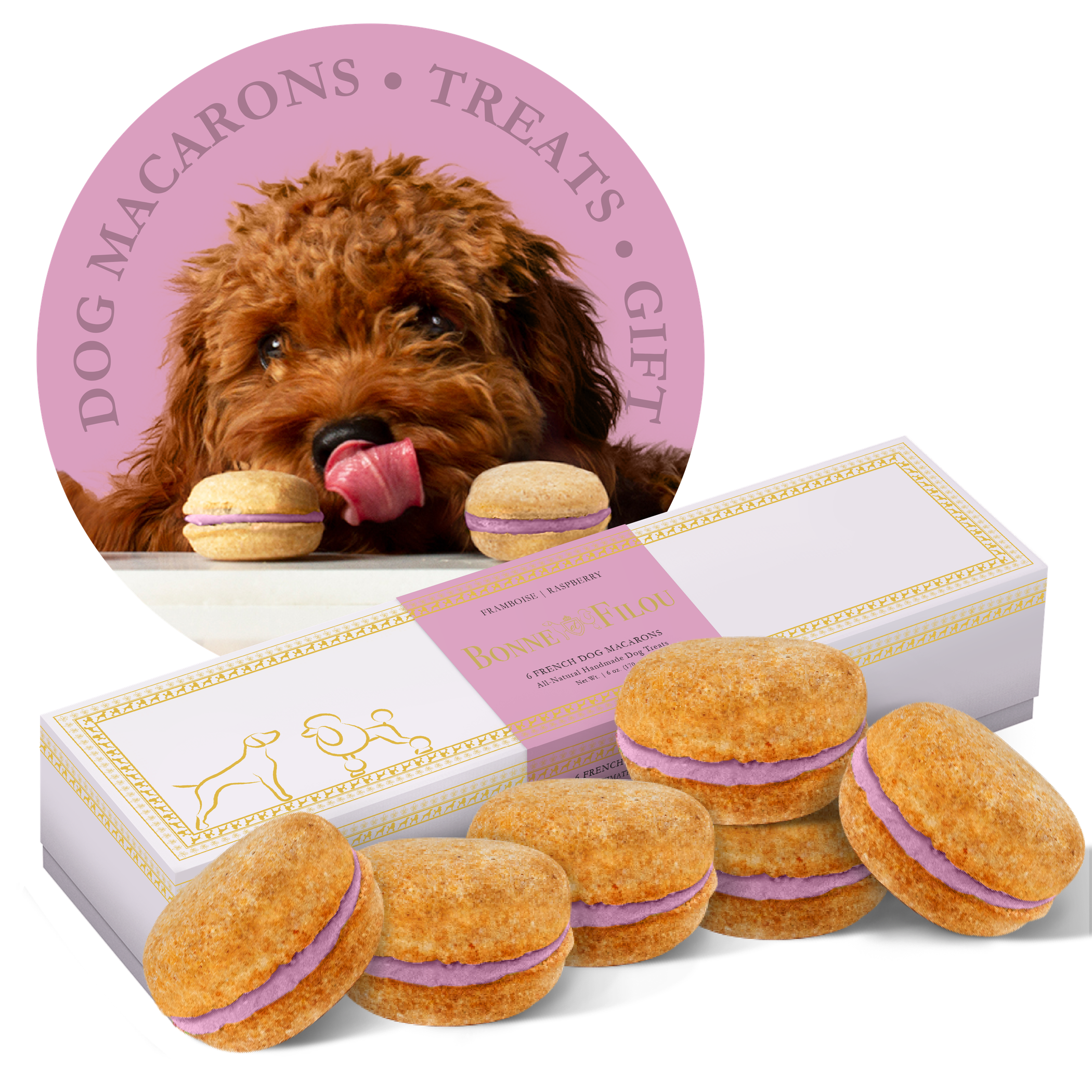 Paw-sitively Delicious: A Box of Canine Macarons!