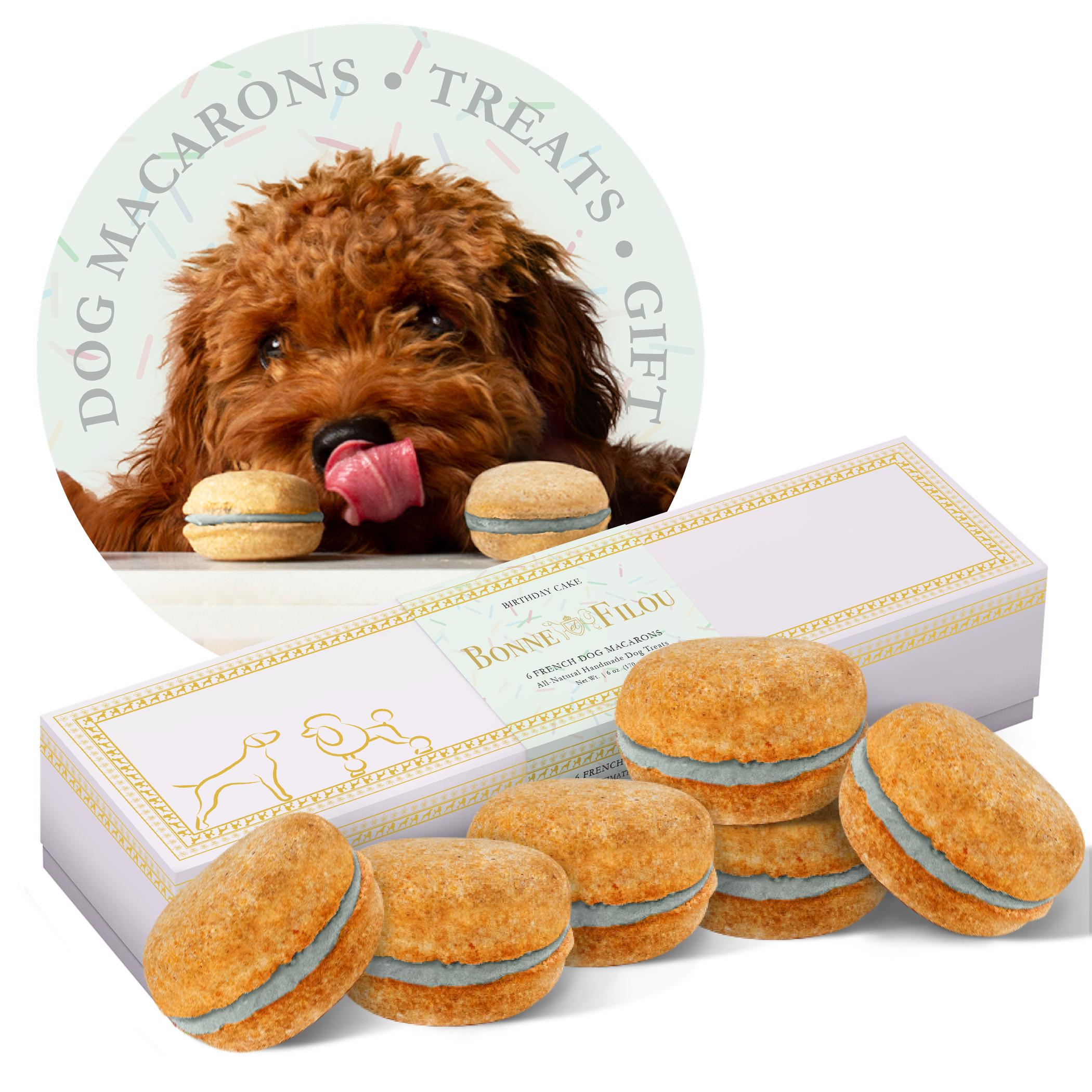 Paw-sitively Delicious: A Box of Canine Macarons!