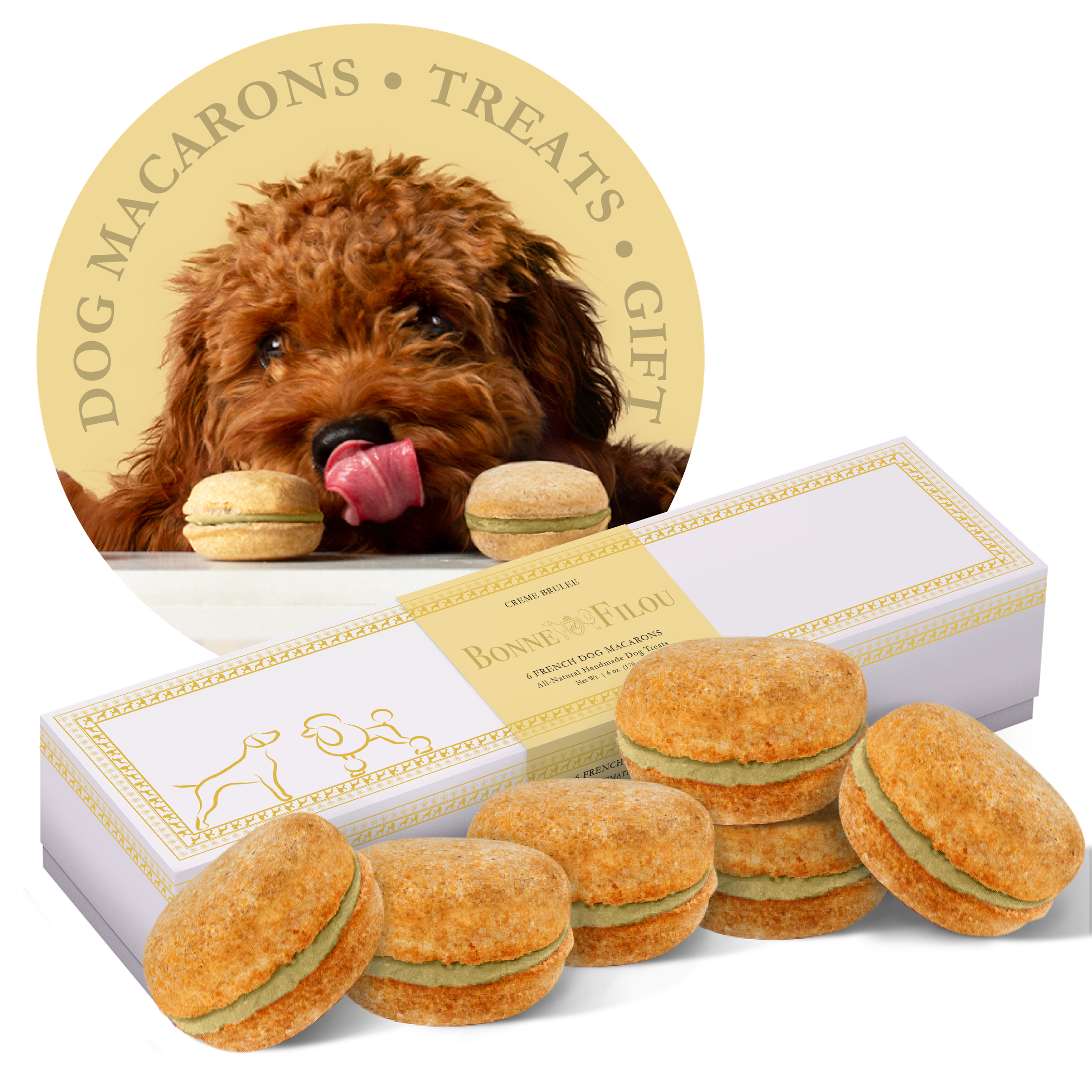 Paw-sitively Delicious: A Box of Canine Macarons!