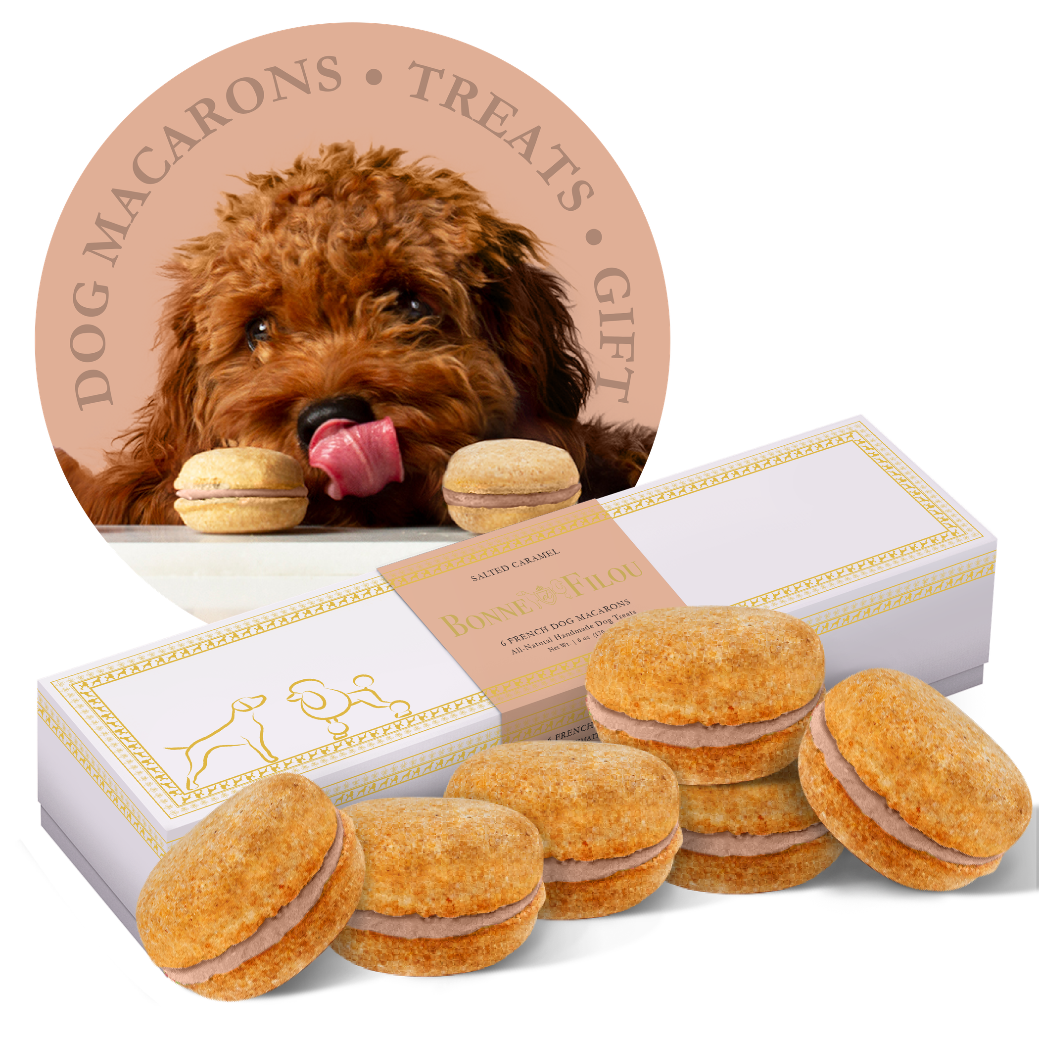 Paw-sitively Delicious: A Box of Canine Macarons!