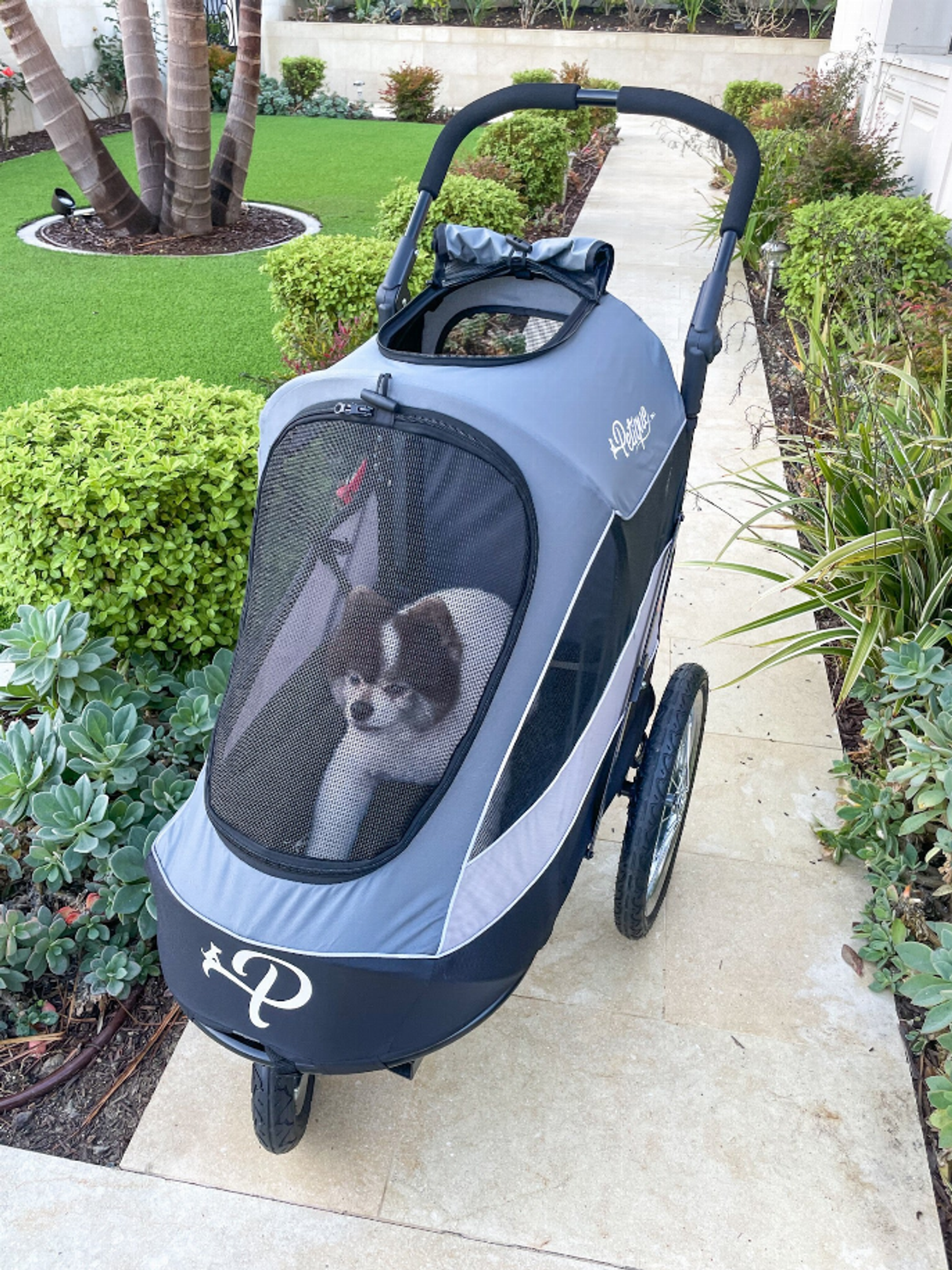 Trailblazer Pet Jogger