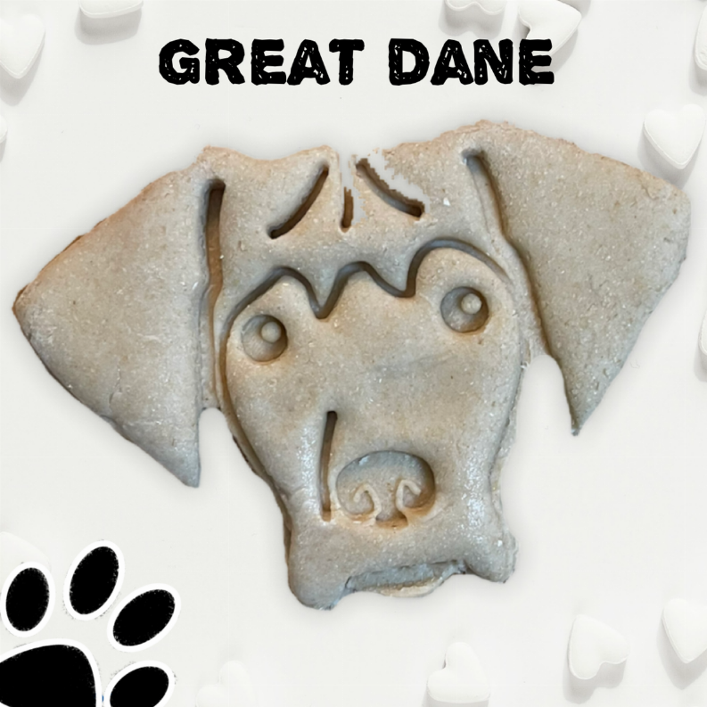 June Bug Dog Breed Dog Cookies