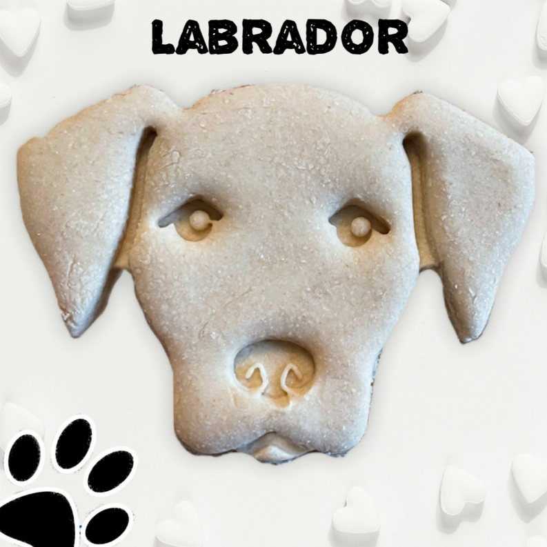 June Bug Dog Breed Dog Cookies