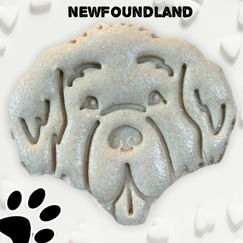 June Bug Dog Breed Dog Cookies