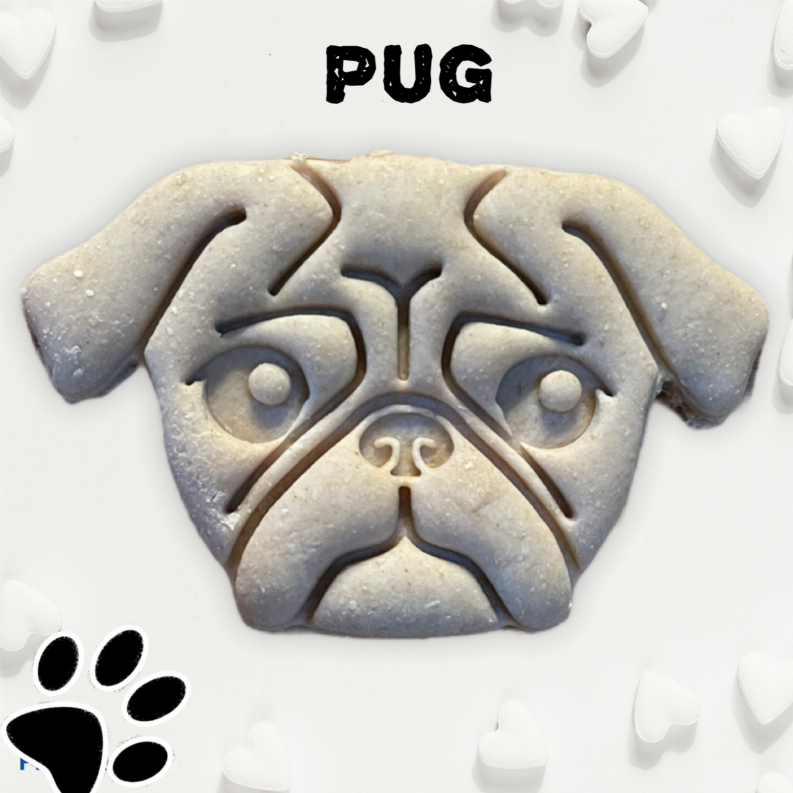 June Bug Dog Breed Dog Cookies