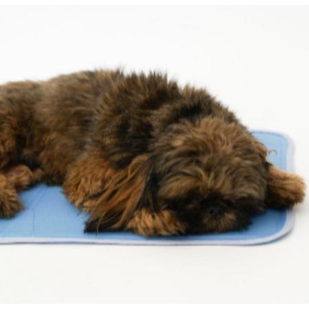 Pampered Pets Bazaar Cool Pet Pad