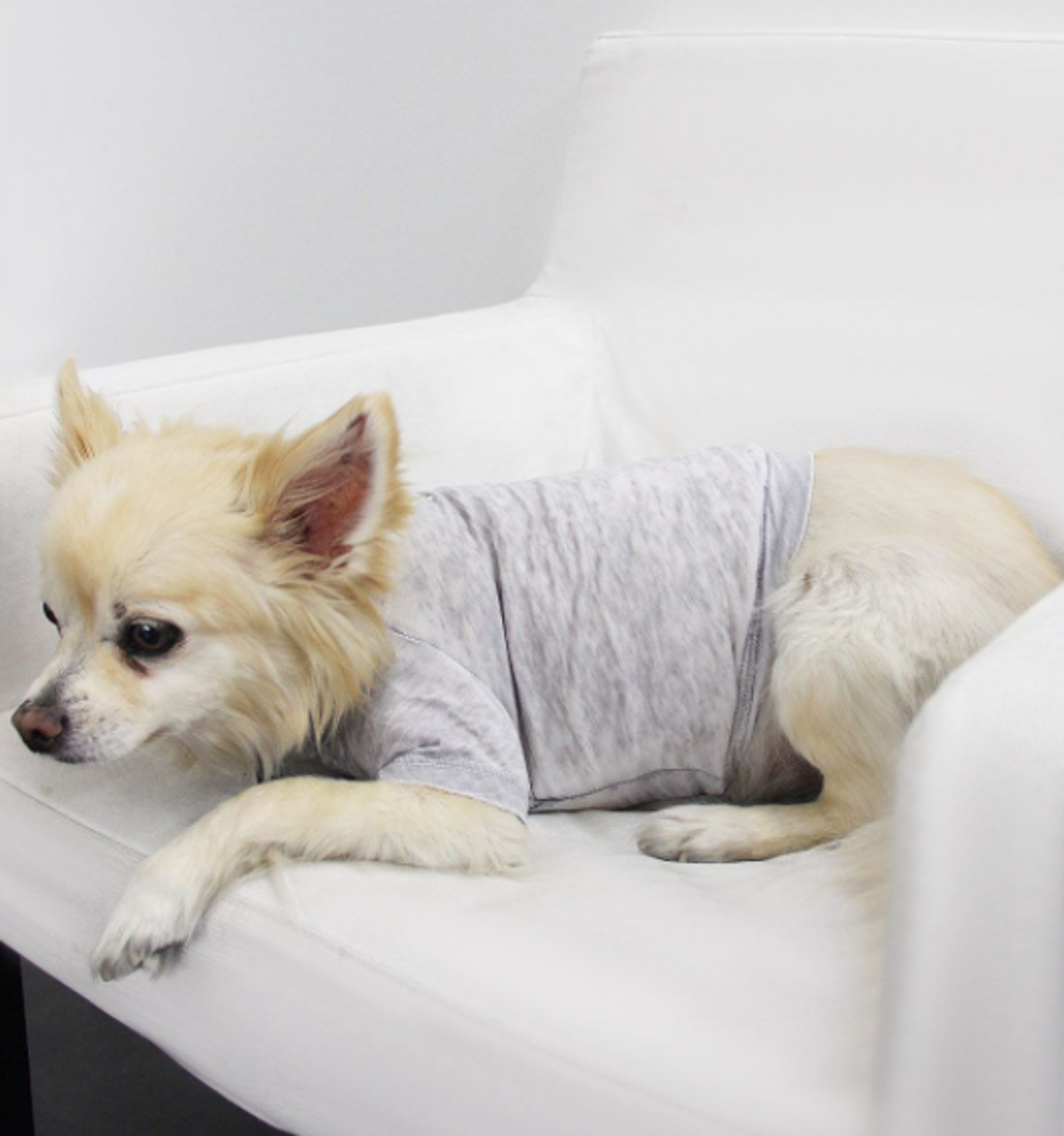 Furry Fashion Fiesta: Comfy Tees for Your Stylish Companions!