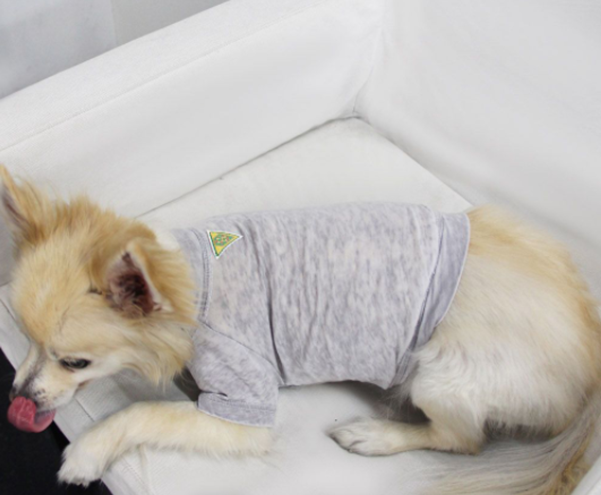 Furry Fashion Fiesta: Comfy Tees for Your Stylish Companions!