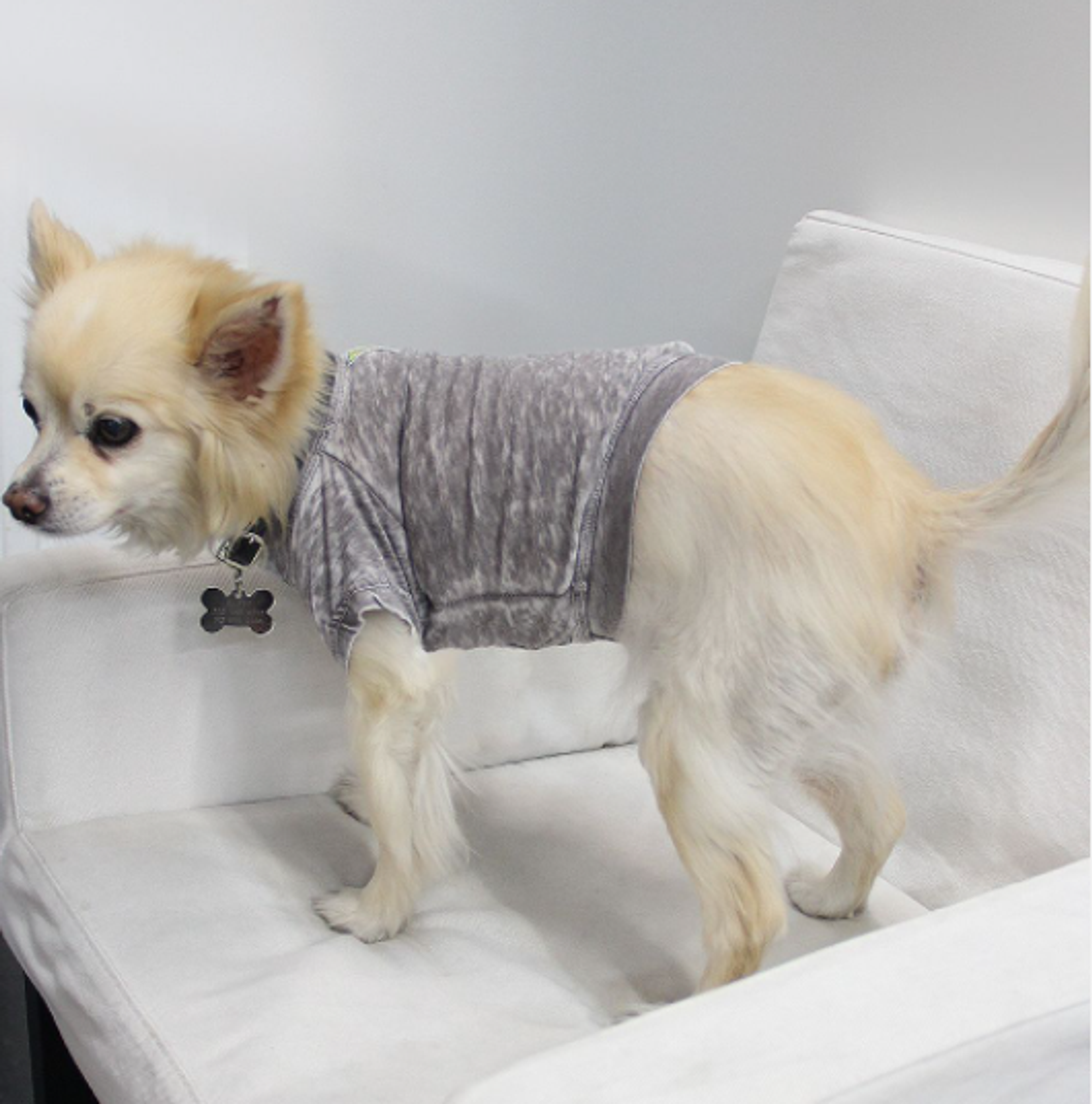 Furry Fashion Fiesta: Comfy Tees for Your Stylish Companions!