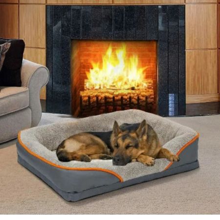 Pampered Pets Bazaar Extra Large Orthopedic Pet Bed