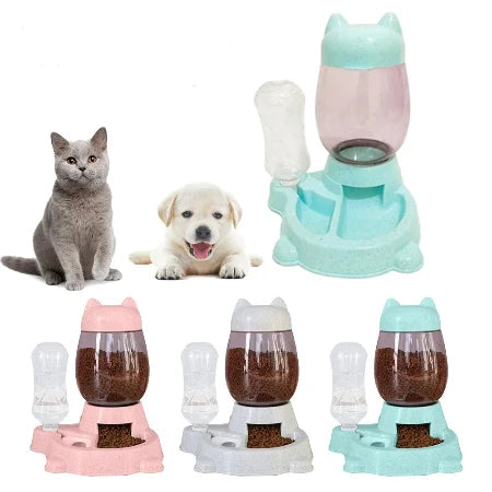 Feast and Fountains: The Paw-sitively Automatic Dining Duo!