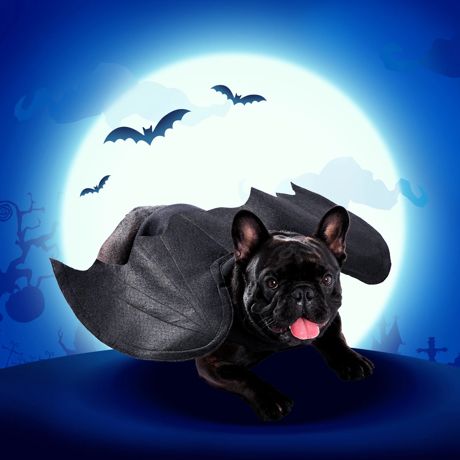 Halloween Bat Wings for Dogs and Cats