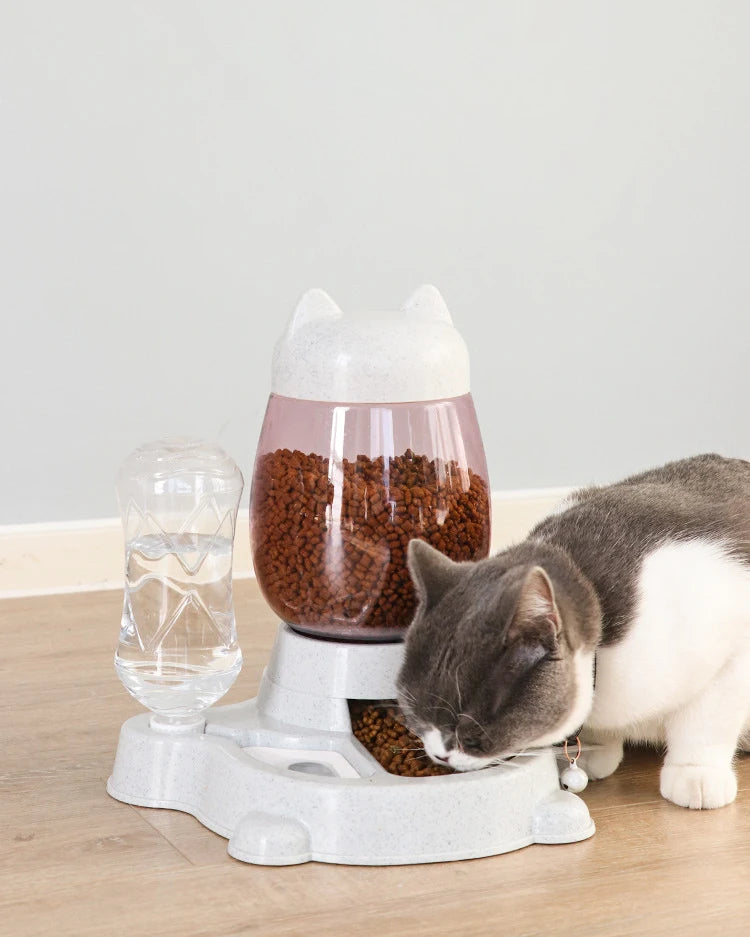 Feast and Fountains: The Paw-sitively Automatic Dining Duo!