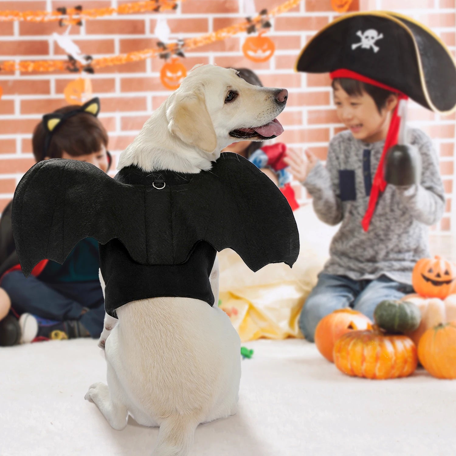 Halloween Bat Wings for Dogs and Cats