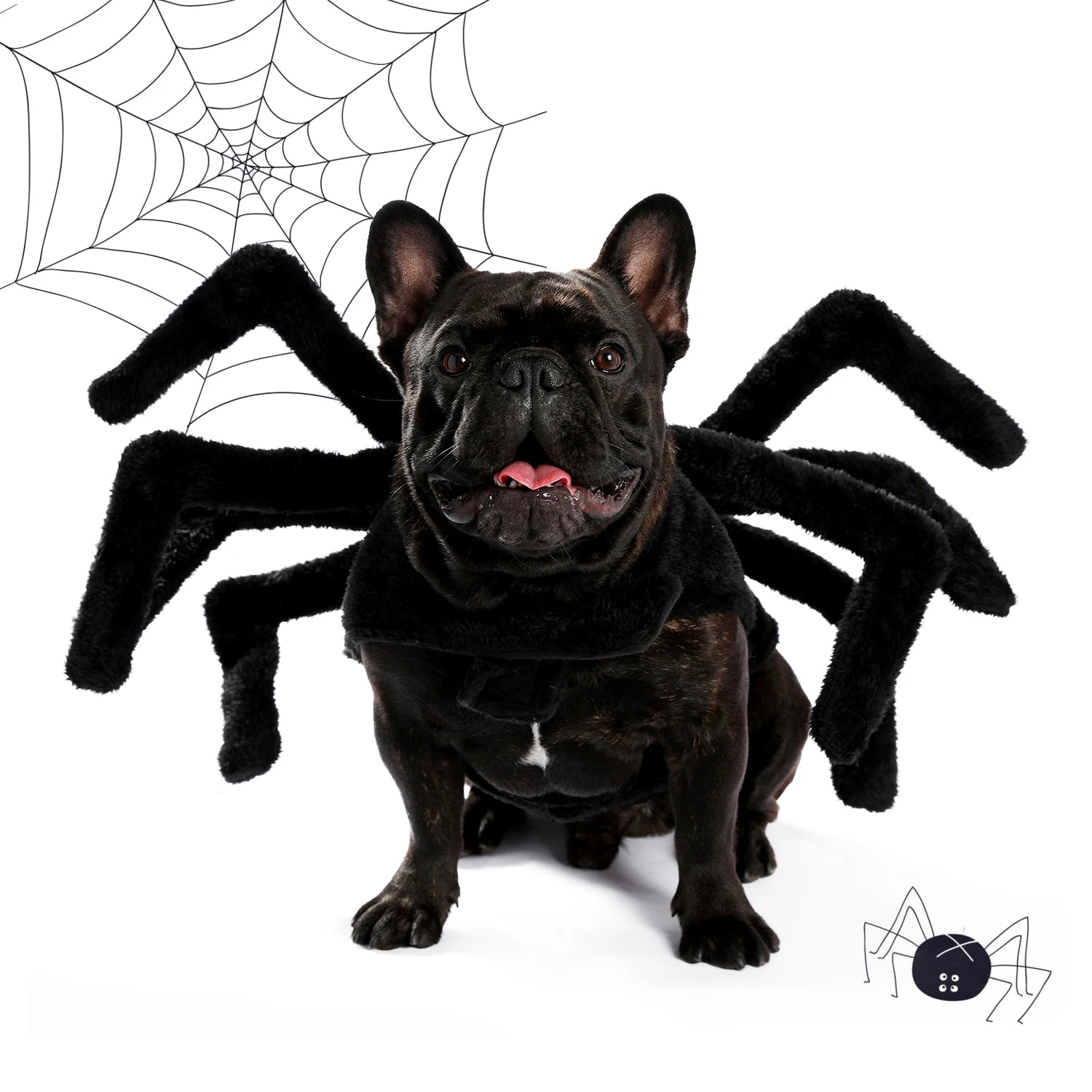 Halloween Spider Costume for Dogs and Cats