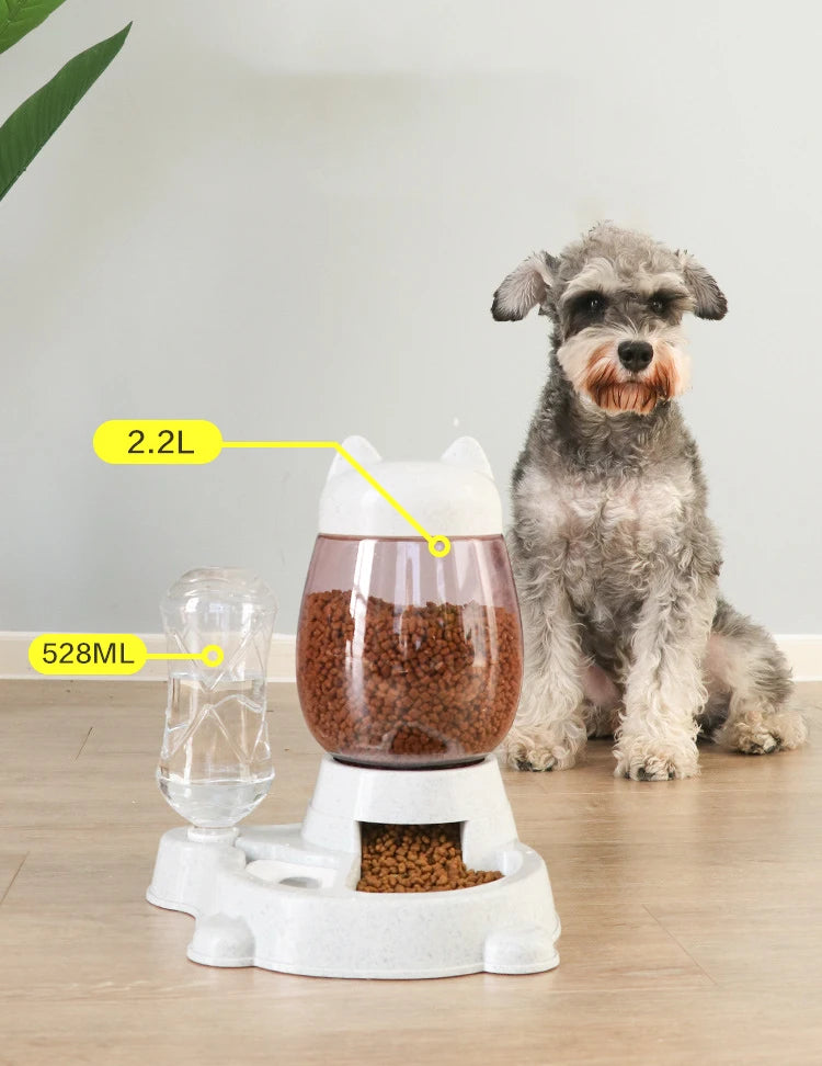 Feast and Fountains: The Paw-sitively Automatic Dining Duo!