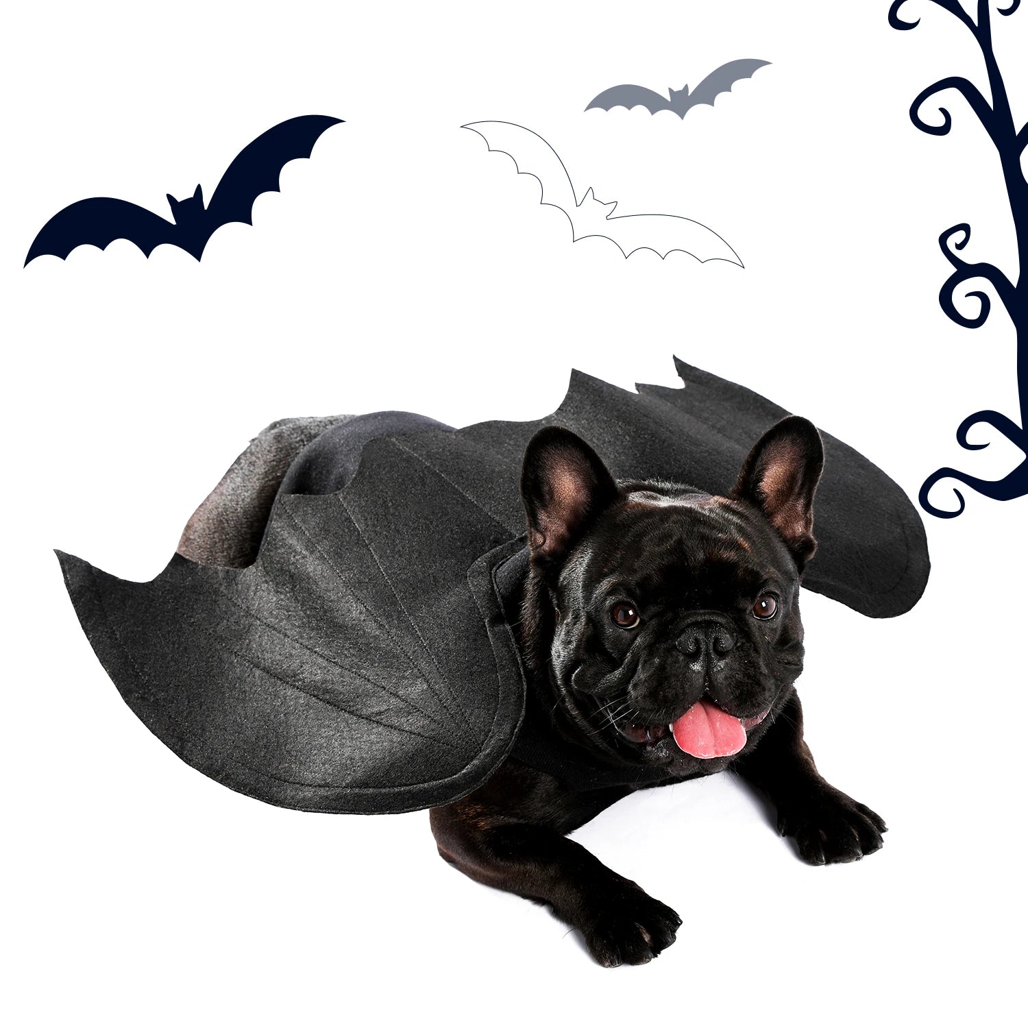 Halloween Bat Wings for Dogs and Cats