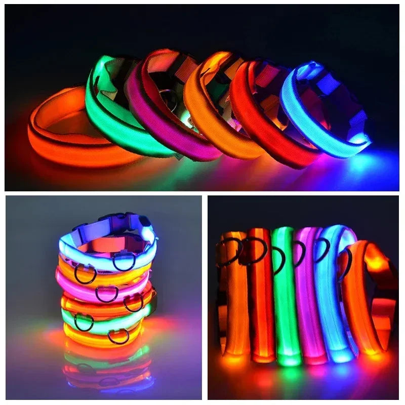 Stylish, durable, and convenient LED dog safety night light collar