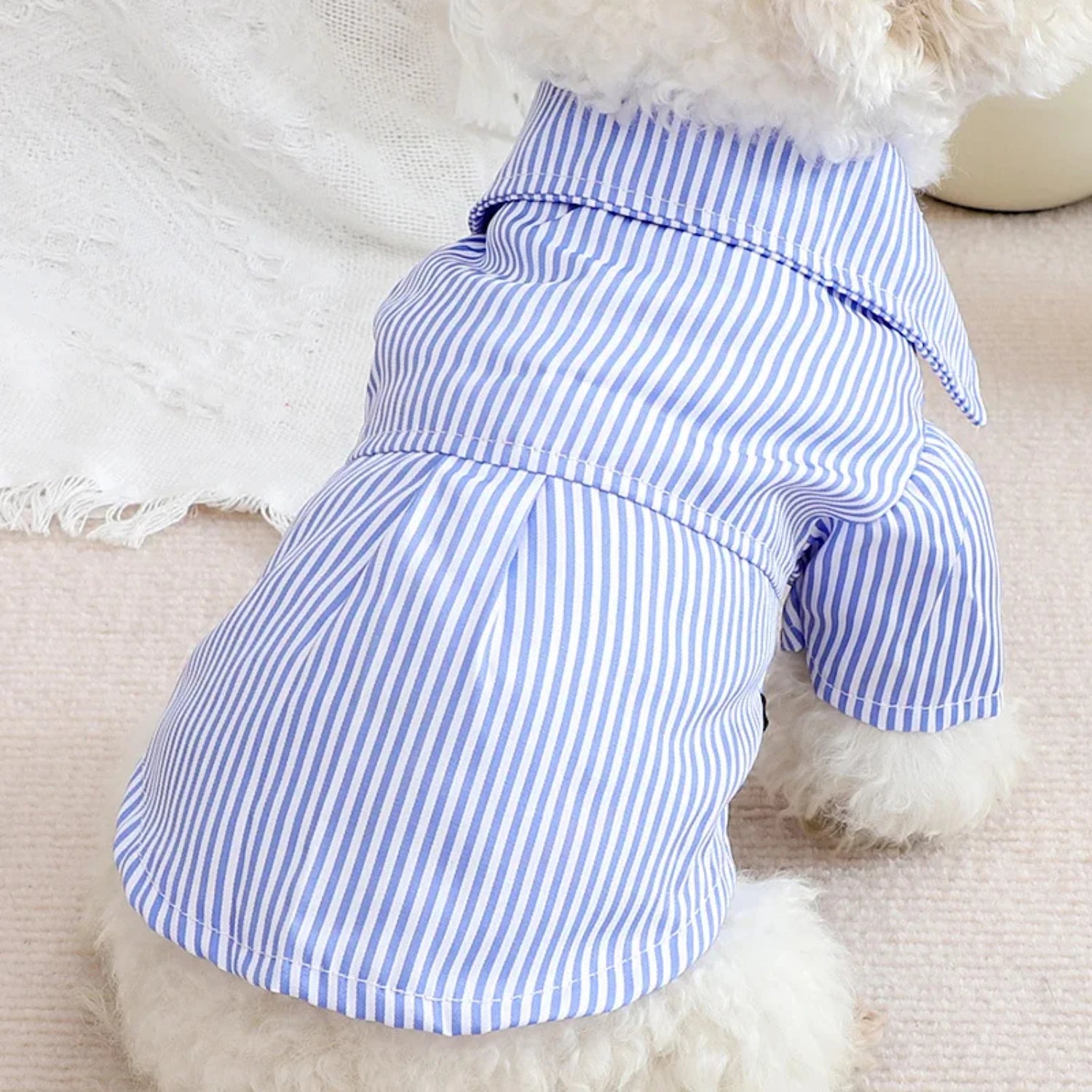 Blue Fashion Thin Striped Bowknot Shirt for Male or Female Dogs