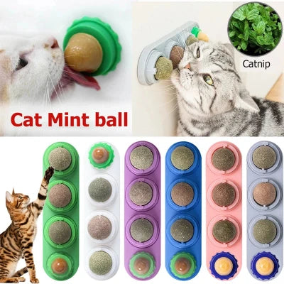 Minty Mirth: The Catnip Ball of Delight!