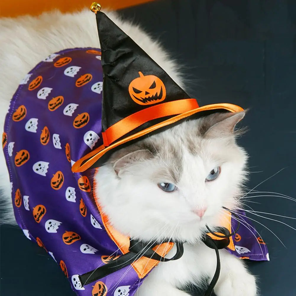 Halloween Cape and Hat Costume for Your Pets