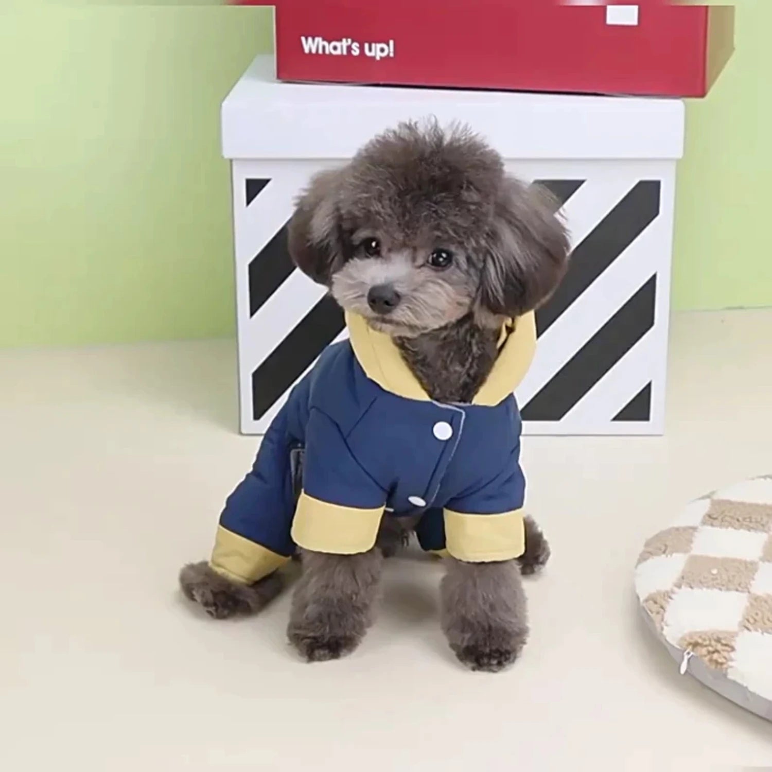 Comfortable Overall and Jacket Jumpsuit for Small Dogs