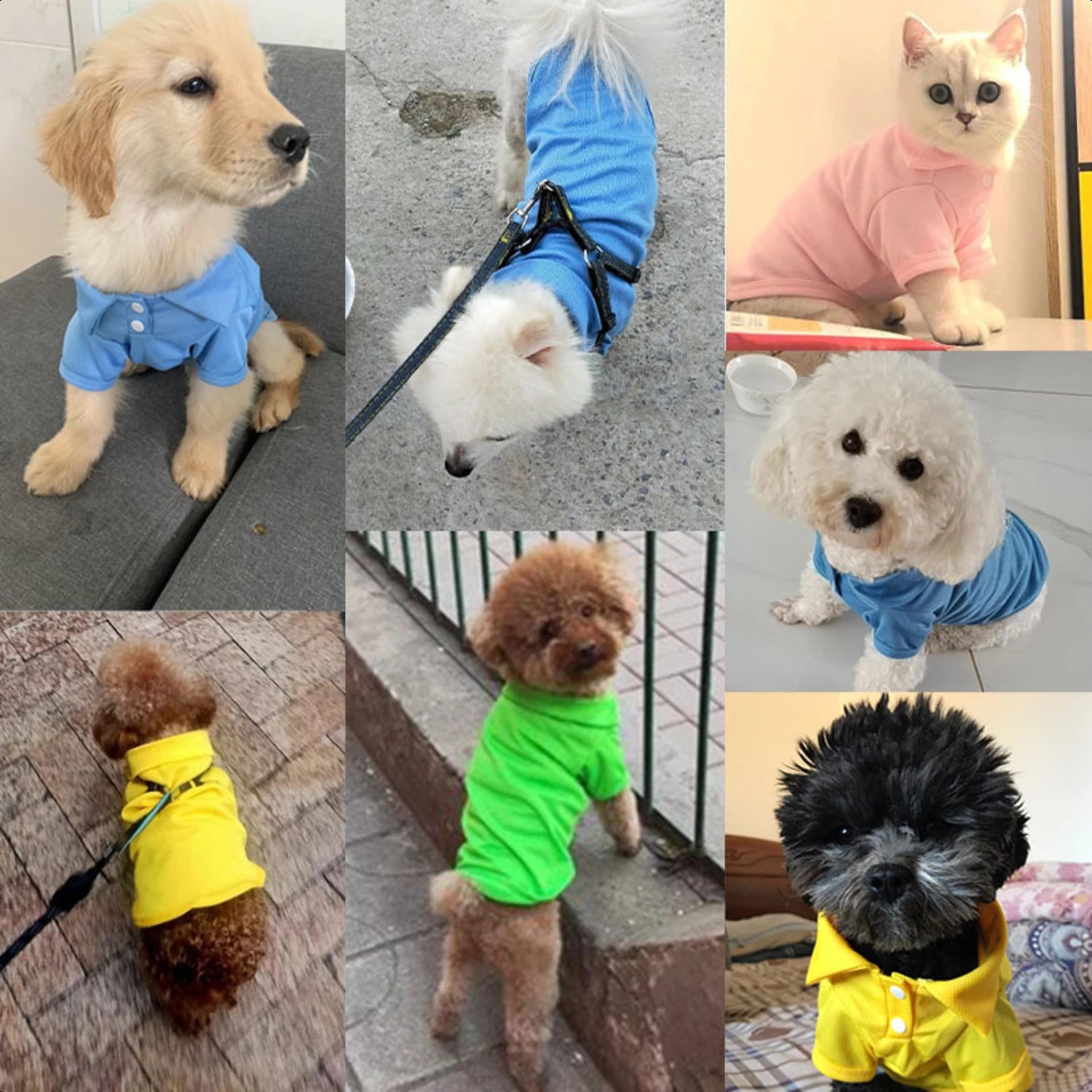 Stylish and Lightweight Pet Apparel for Dogs and Cats