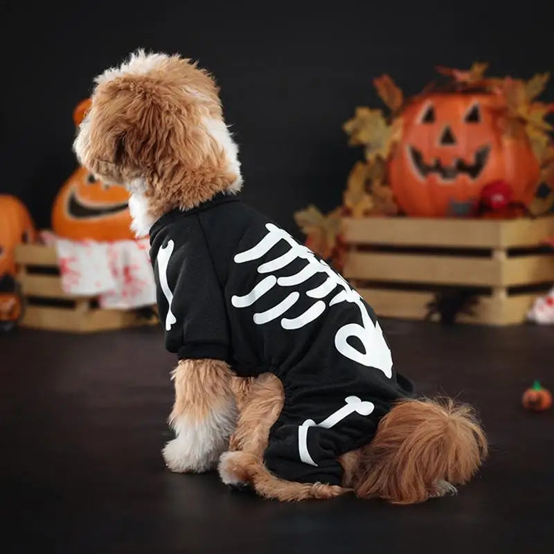 Bone-anza of Fun: Spook-tacular Skeleton Costume for Paws!