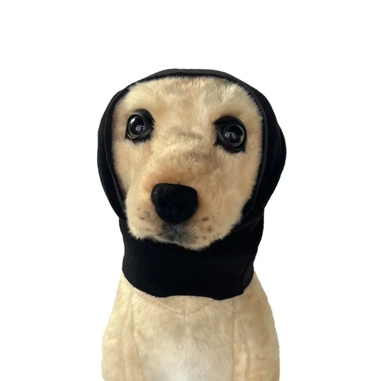 Snug as a Bug: The Perfect Winter Turban for Your Furry Friends!