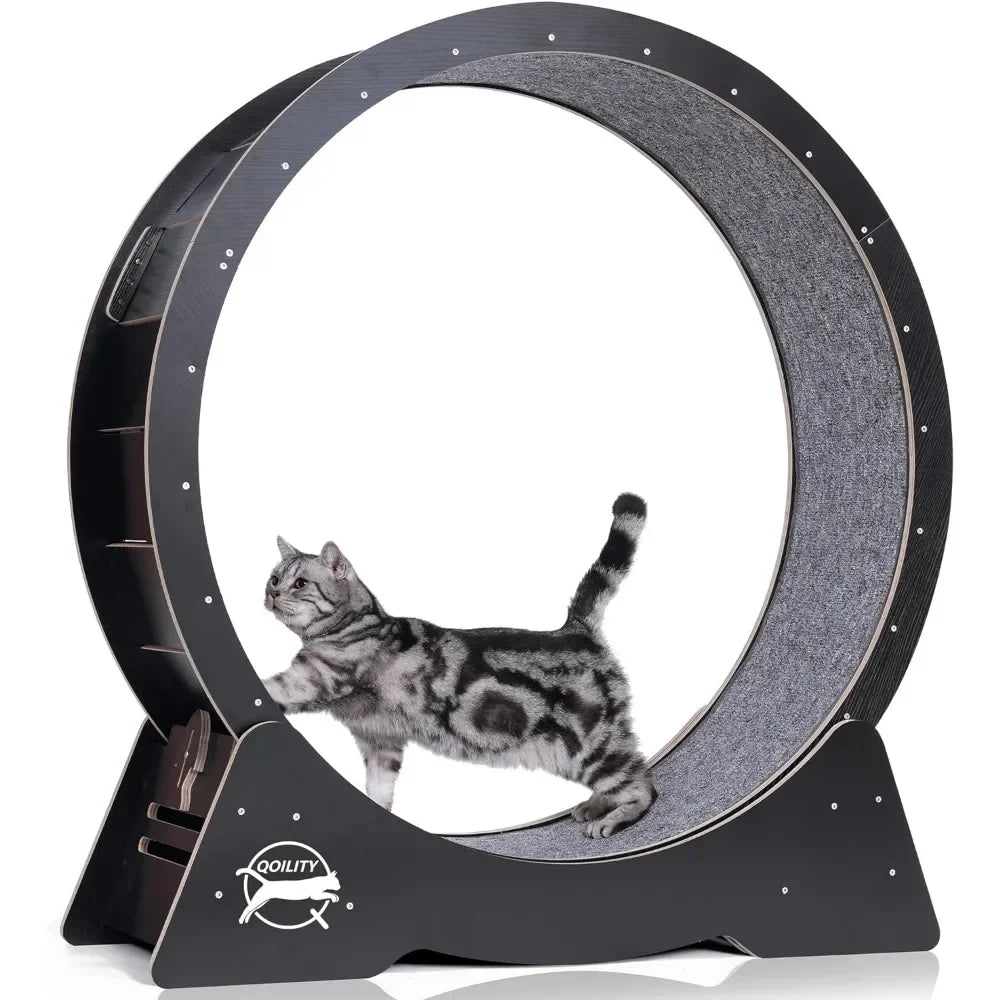 Cat Exercise Wheel - Low-Noise for Indoor Fitness & Health