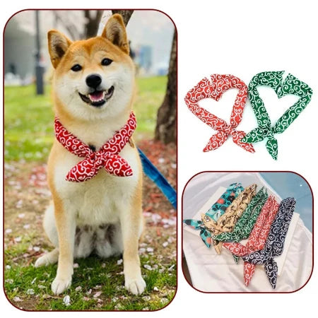 Bow-Wow Chic: The Dapper Dog Bandana!