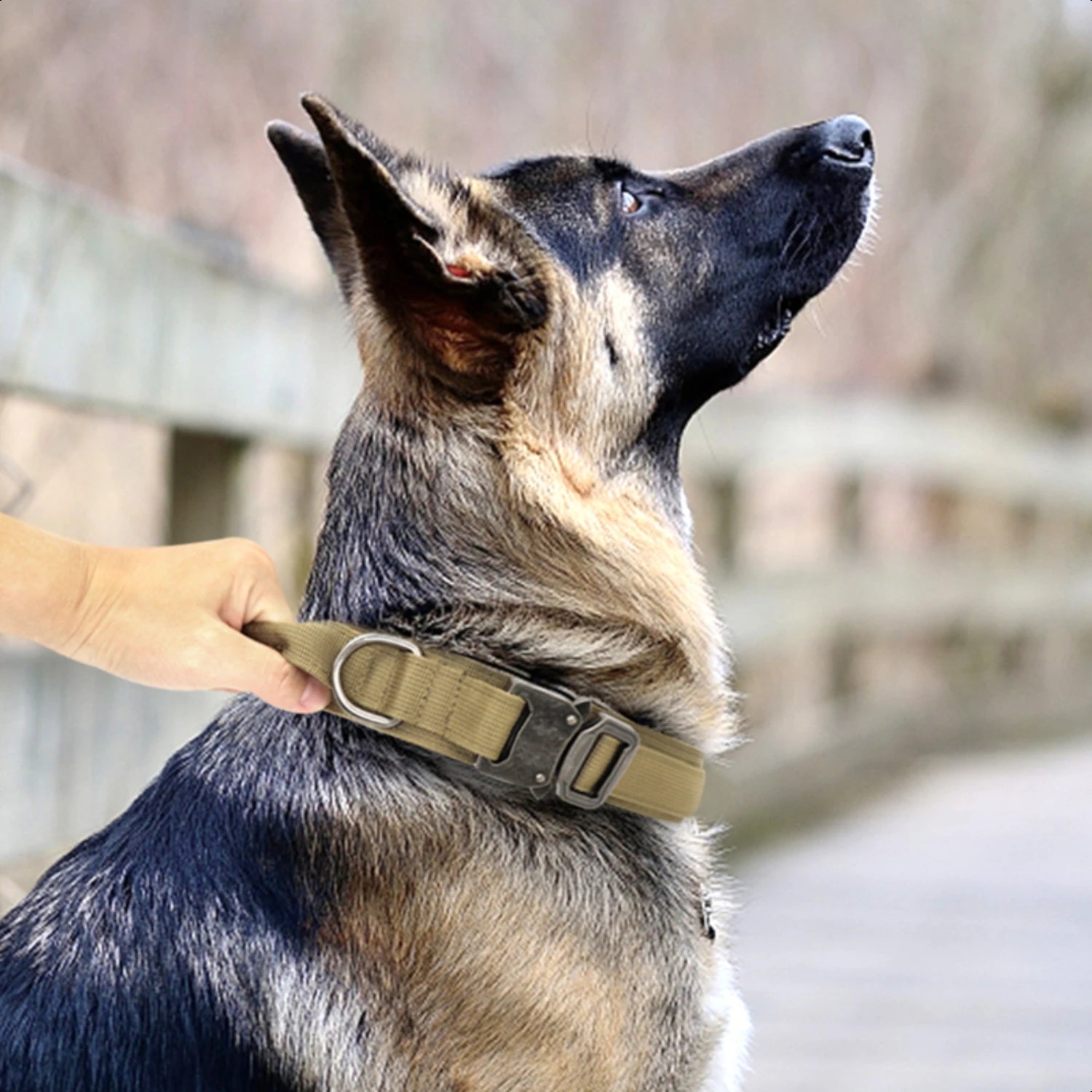 High-Quality, Durable German Military Tactical Dog Collar