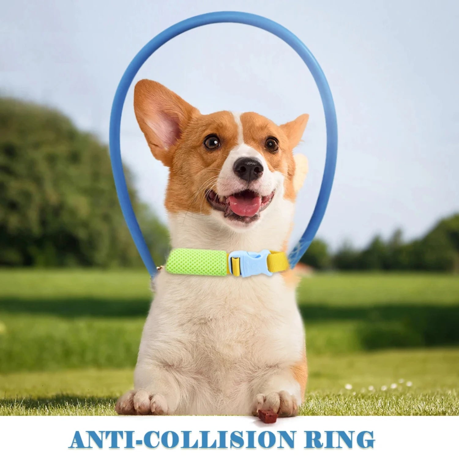 Blind Pet Anti-Collision Collar