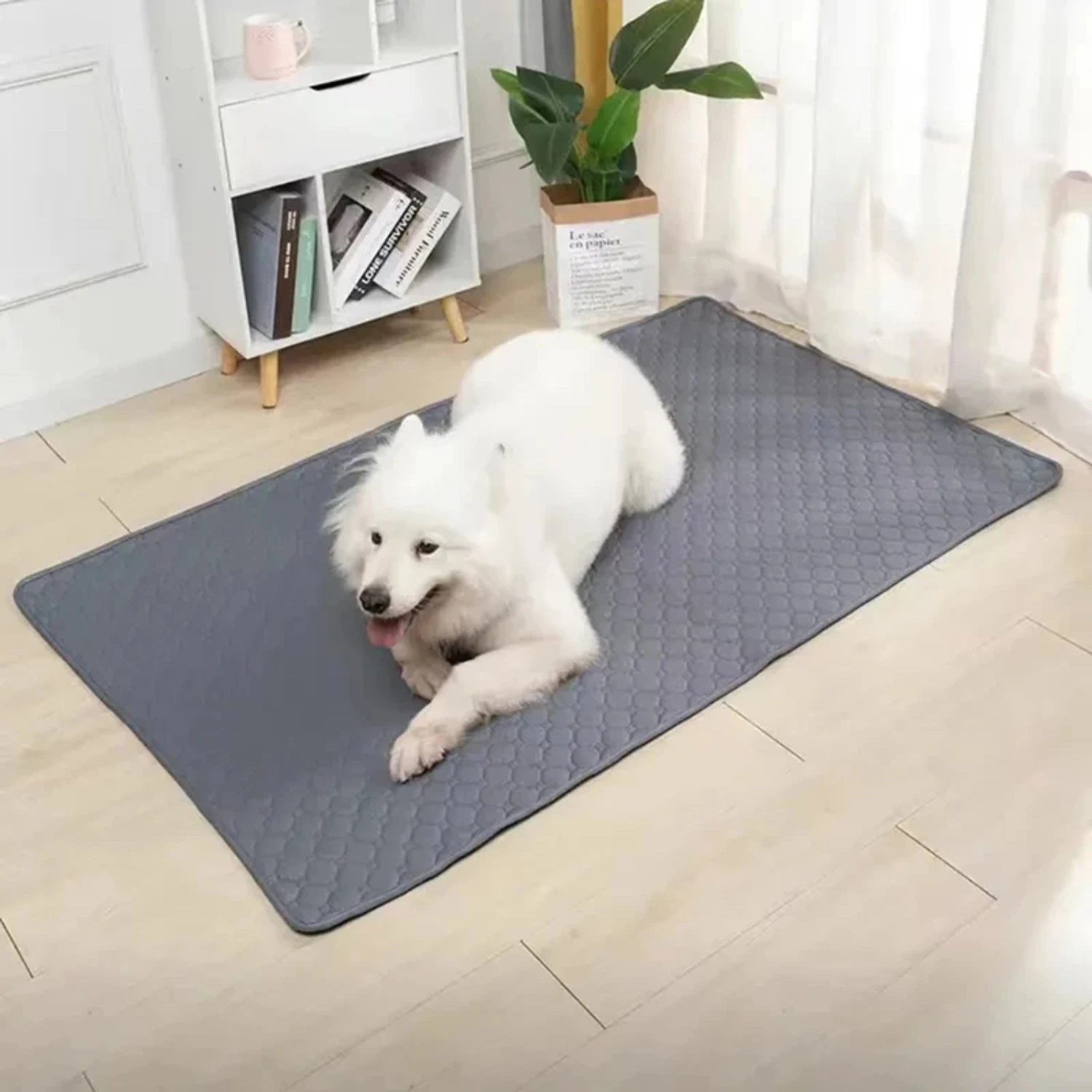 Pawsitively Purr-fect Protection: The Ultimate Waterproof Washable Dog Pee Pad!