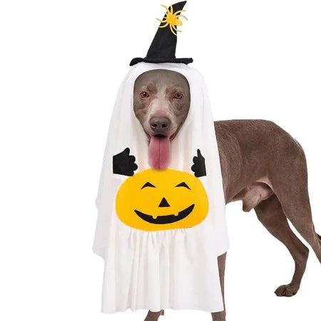 Pet Ghost Cosplay Costume with Witch Hat